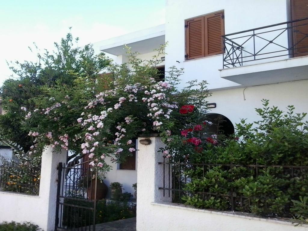 Karagiozos Studios & Apartments Skopelos Exterior foto