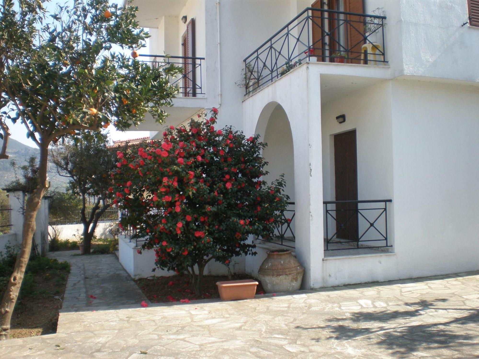 Karagiozos Studios & Apartments Skopelos Exterior foto