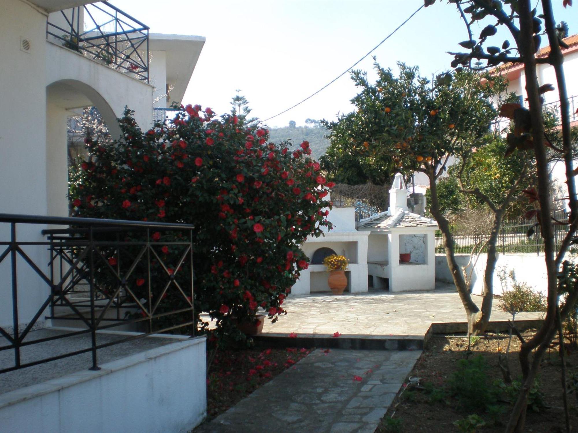 Karagiozos Studios & Apartments Skopelos Exterior foto